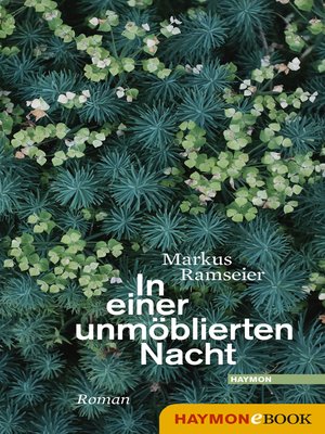 cover image of In einer unmöblierten Nacht